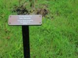 image of grave number 765180